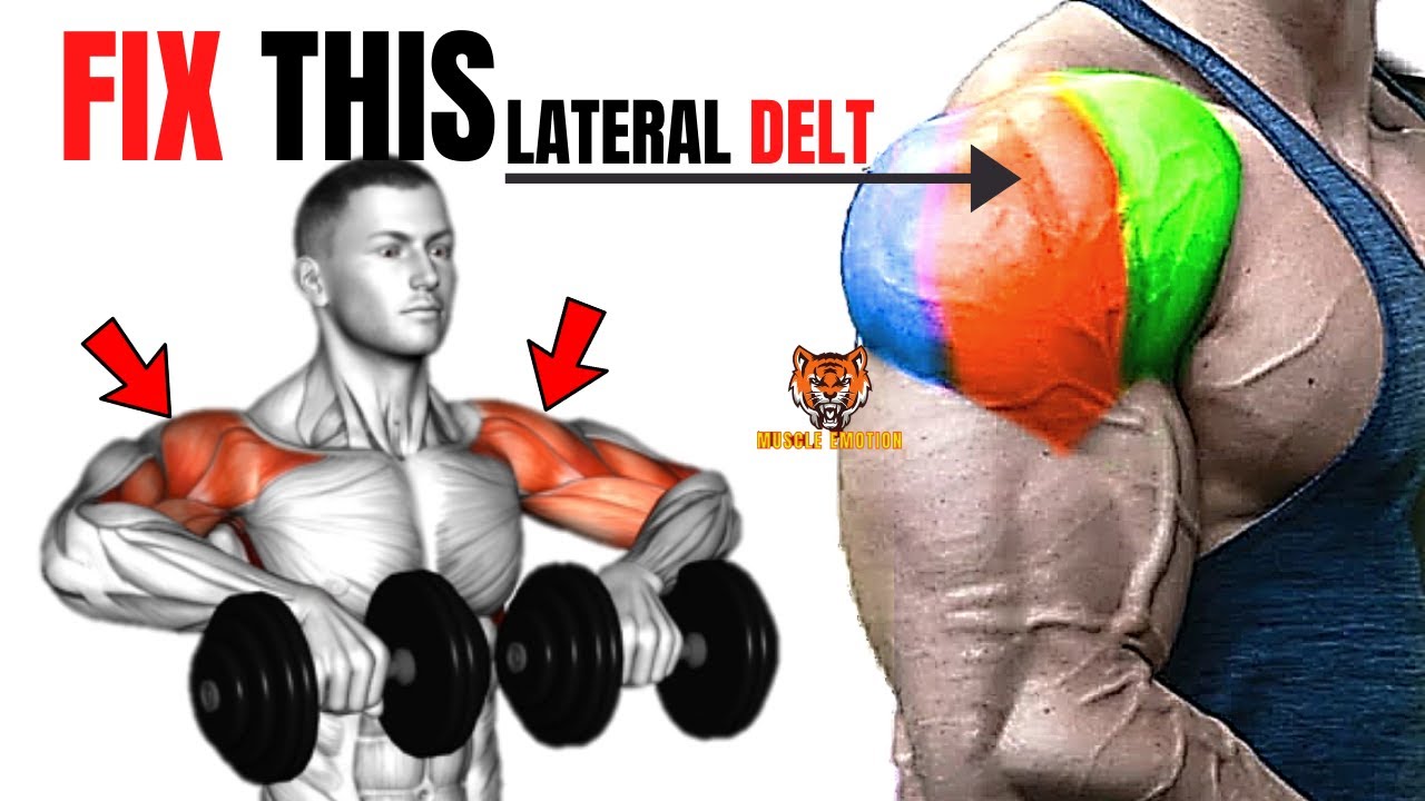 11 BEST LATERAL SHOULDERS WORKOUT WITH BARBELL DUMBELLS AND CABLE
