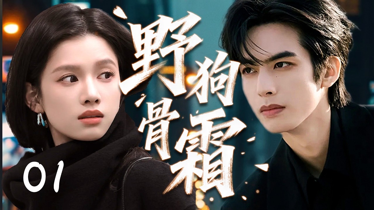 【2026最新剧】野狗骨霜01|他是游走灰色地带的“野狗”，她是带着秘密接近他的女人，宋威龙与张婧仪在互相利用中失控沉沦，擦出最危险爱情火花！💗宋威龙、张婧仪💗