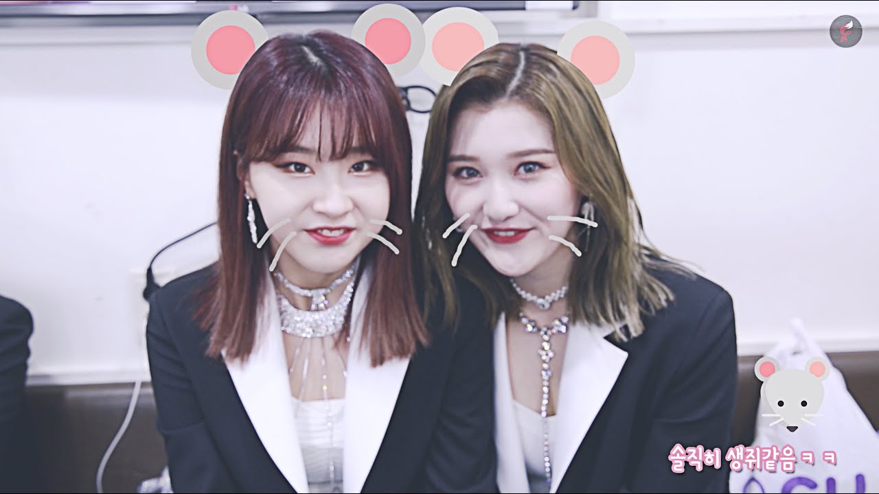 FAVORITE(페이버릿) - 또 LIE(LIE) 음악방송 비하인드 3