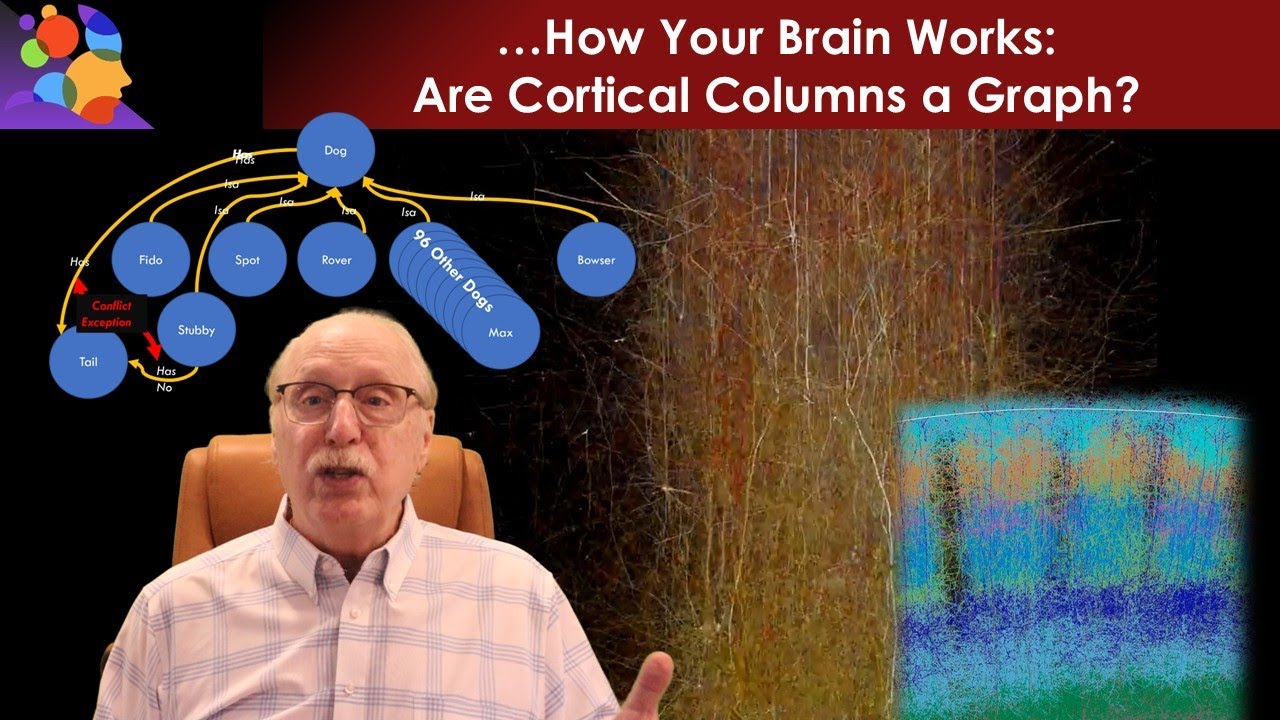 Forget Network Layers—Cortical Columns Think Like Graphs