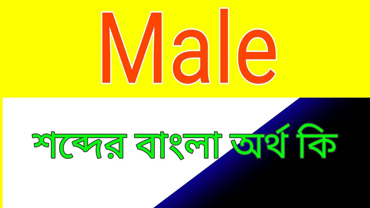Male শব্দের অর্থ কি । মেলি শব্দের অর্থ কি । Male meaning in Bangla /// Male শব্দের বাংলা অনুবাদ 
