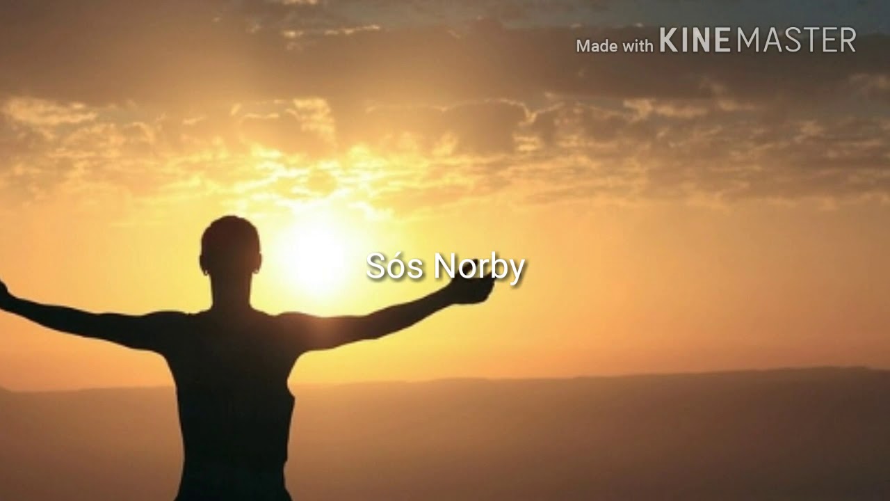 Sós Norby-ELVISZNEK 2