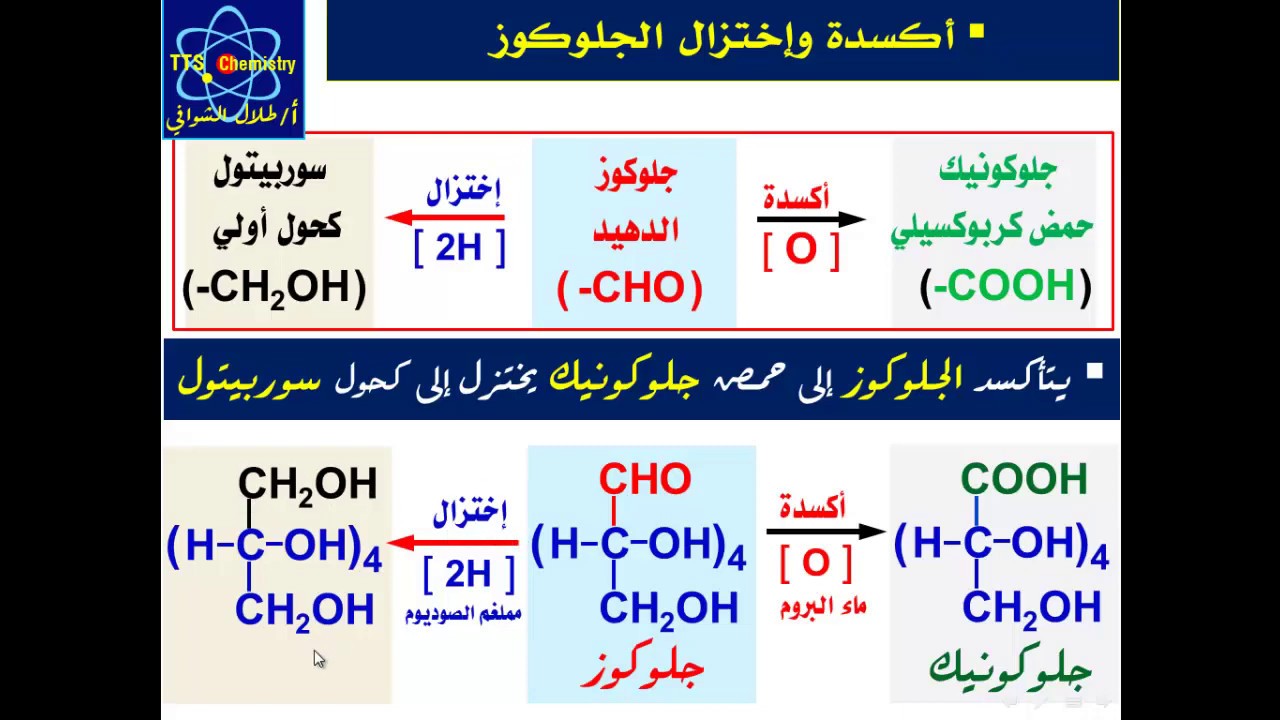 الكيمياء الحيوية  -  الدرس ( 2 )  - ( السكريات الأحادية ) / أ . طلال الشوافي