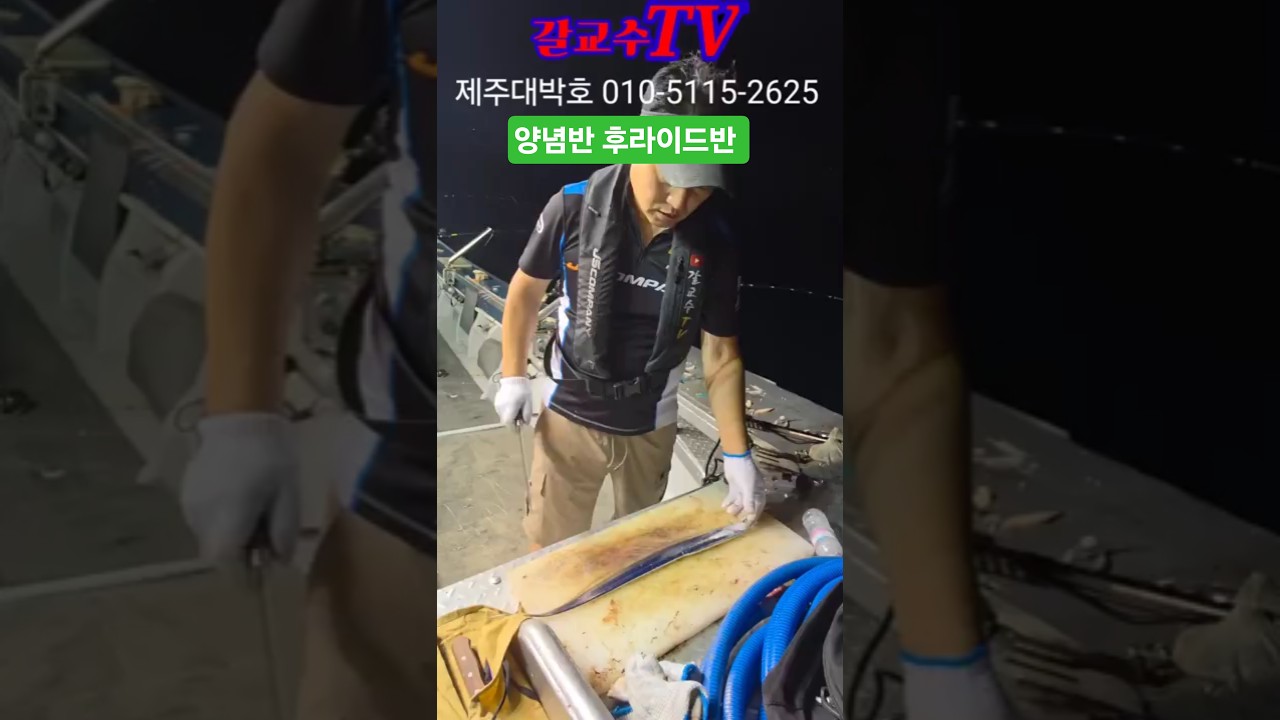 양념반 후라이드반 갈치 포뜨기 갈교수 타법