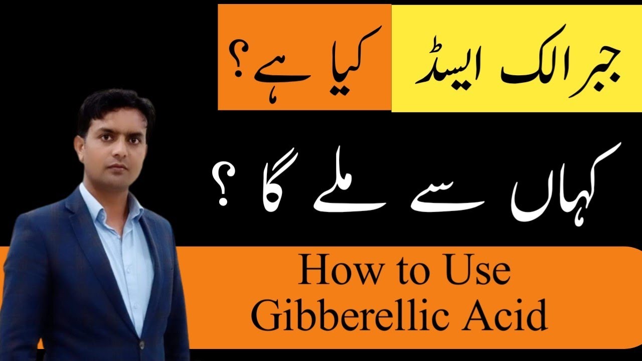 What is Gibberellic Acid and how to use it | Gibberellic Acid use in Agriculture | Gibberellic Acid