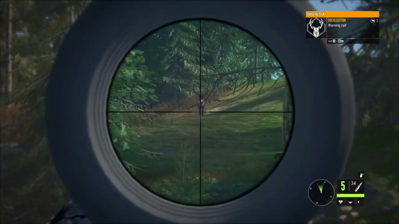 Hunter call of the wild Albino deer and Rosevelt Elk