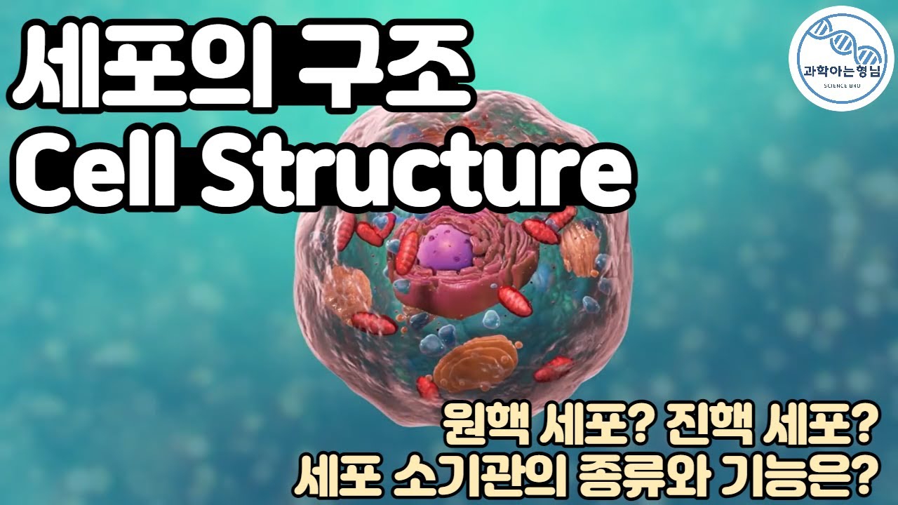 세포 구조 ( Cell Structure)