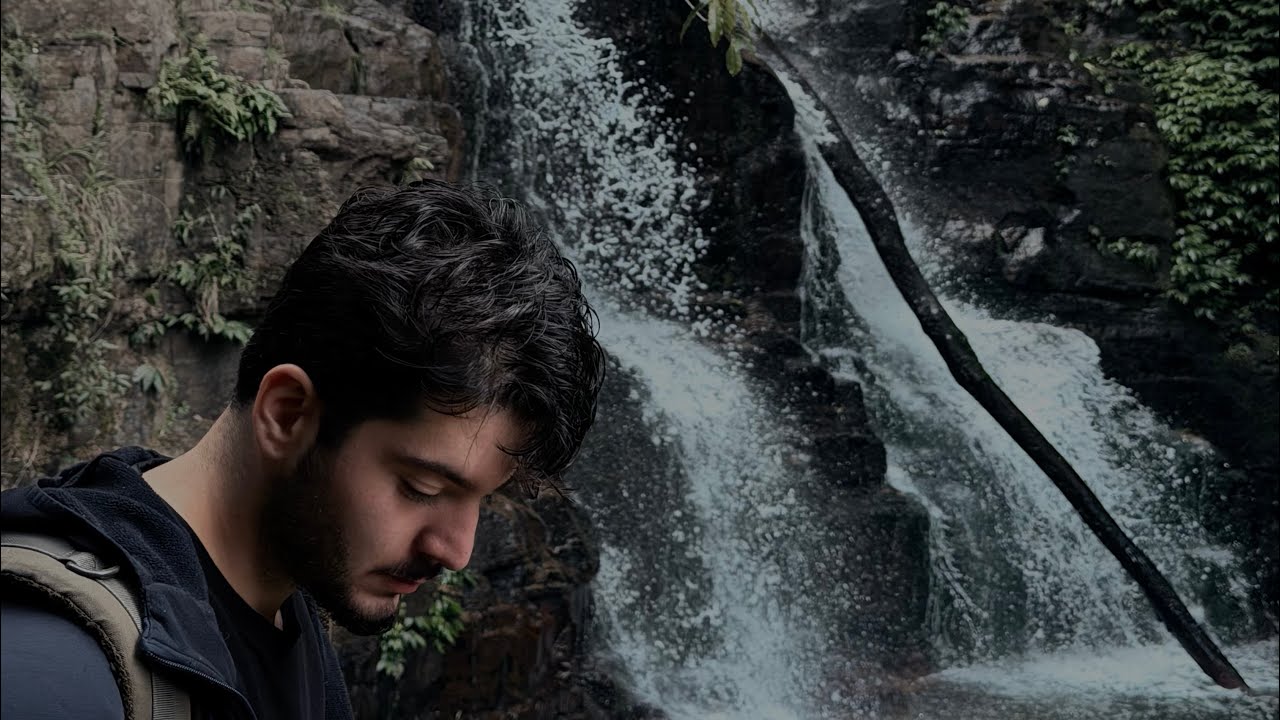 Into the Wild