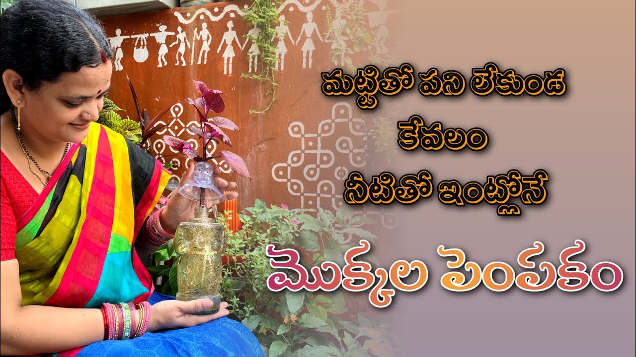 మట్టితో పని లేకుండ  కేవలం water లో మొక్కల పెంపకం
