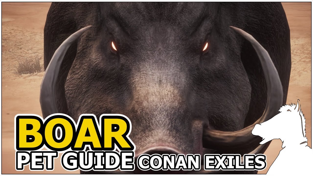 BOAR | Pets Guide | CONAN EXILES