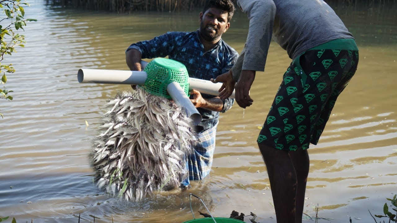 Survival skills - Underwater Fish Trap Making