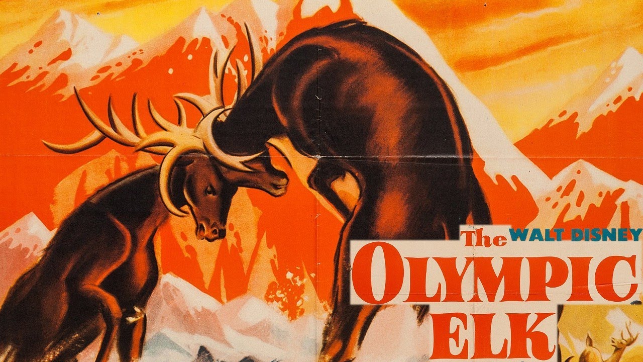 Олимпийский лось 1952 года. Документальный фильм Disney о природе | Рецензия
