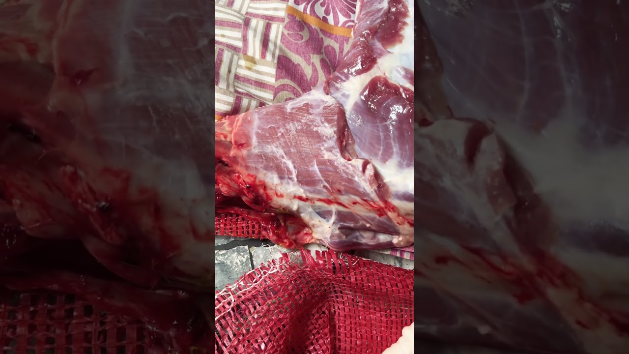 Subhan ALLAH #bakraeid #qurbani #qurbani2025 #shorts #short