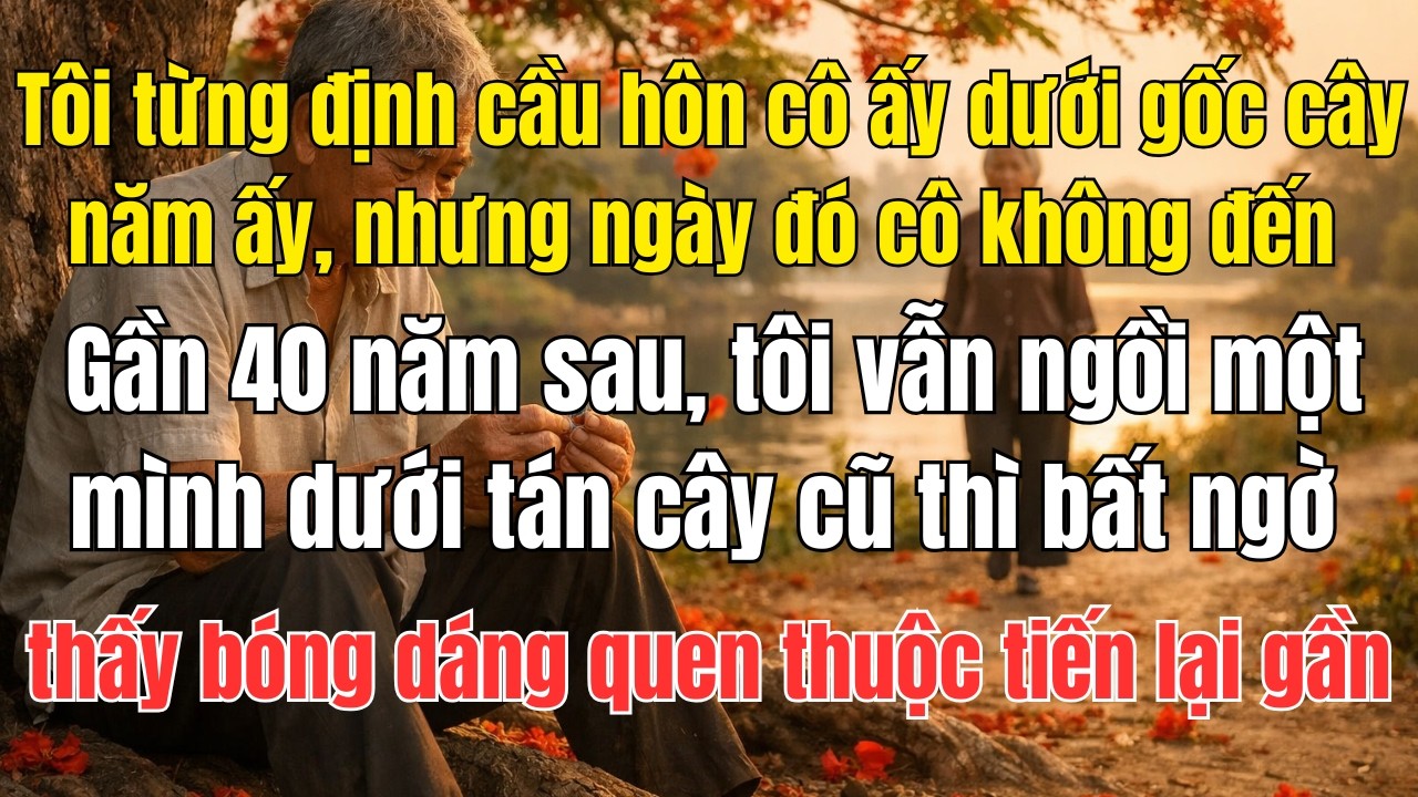Tôi từng định cầu hôn cô ấy dưới gốc cây năm ấy, nhưng ngày đó cô không đến → Gần 40 năm sau, tôi...