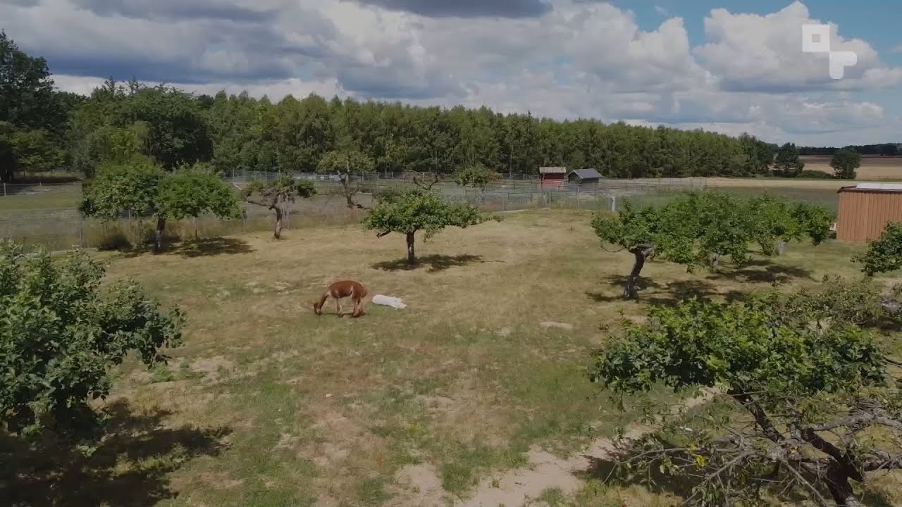 Zagroda Szczęśliwych Zwierząt