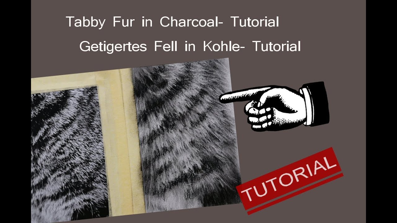 How I can draw Tabby FUR in Charcoal?- Wie male ich getigertes Fell in KOHLE?