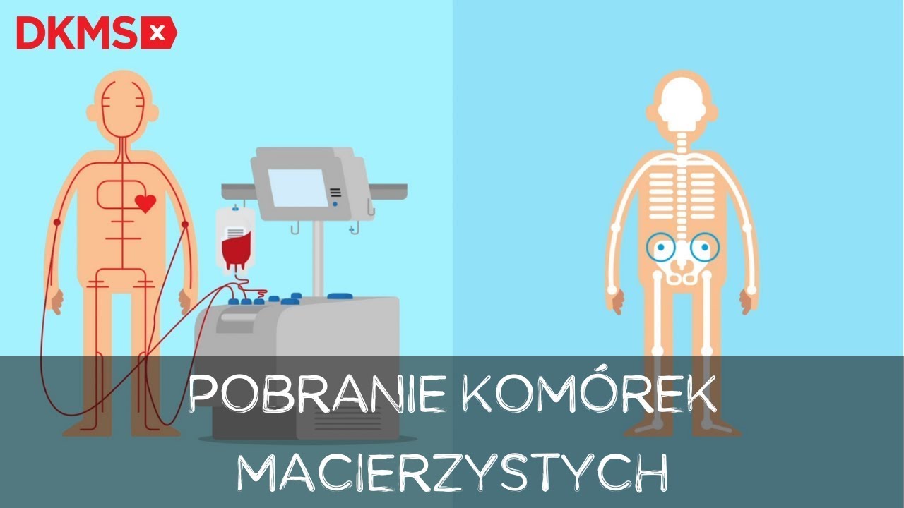 Jak wygląda oddanie szpiku lub kom&oacute;rek macierzystych? | Fundacja DKMS