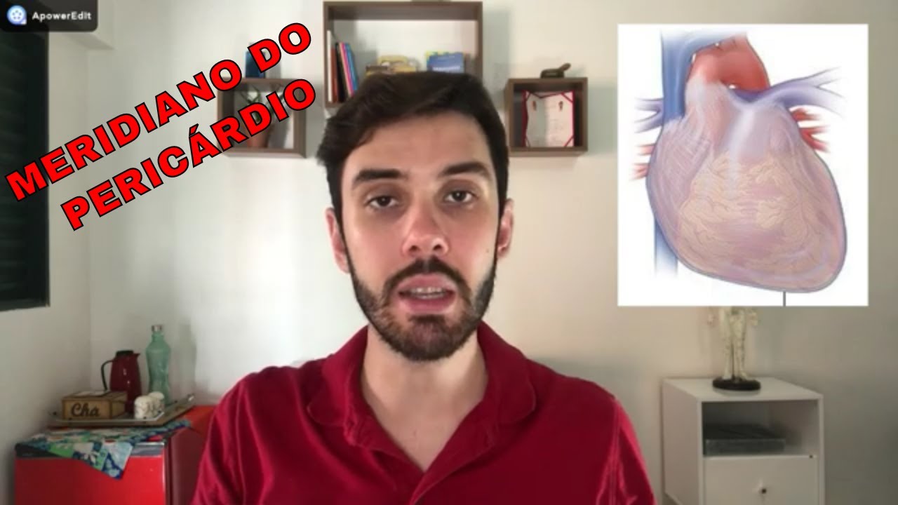 🔘Meridiano do Pericárdio - Acupuntura