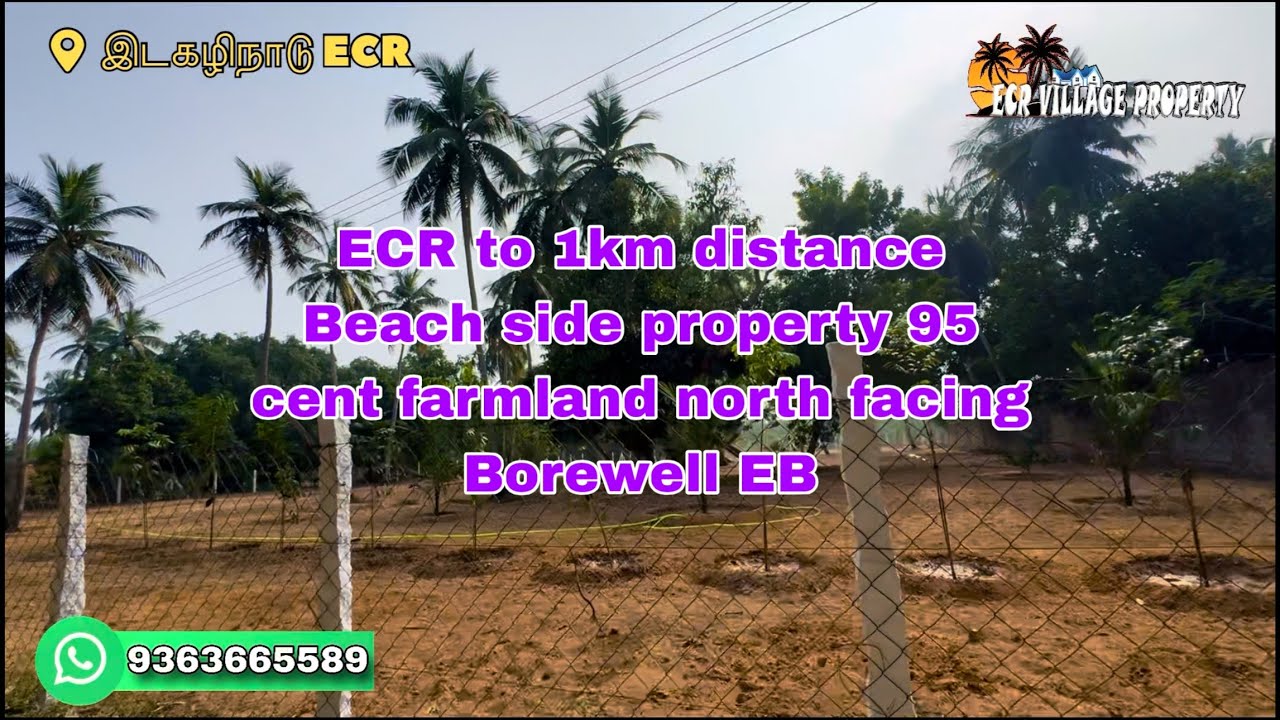 🆔117// ecr to 1km 95 cent farmland 🌴🌳🌴🌳 north facing Borewell  EB connection