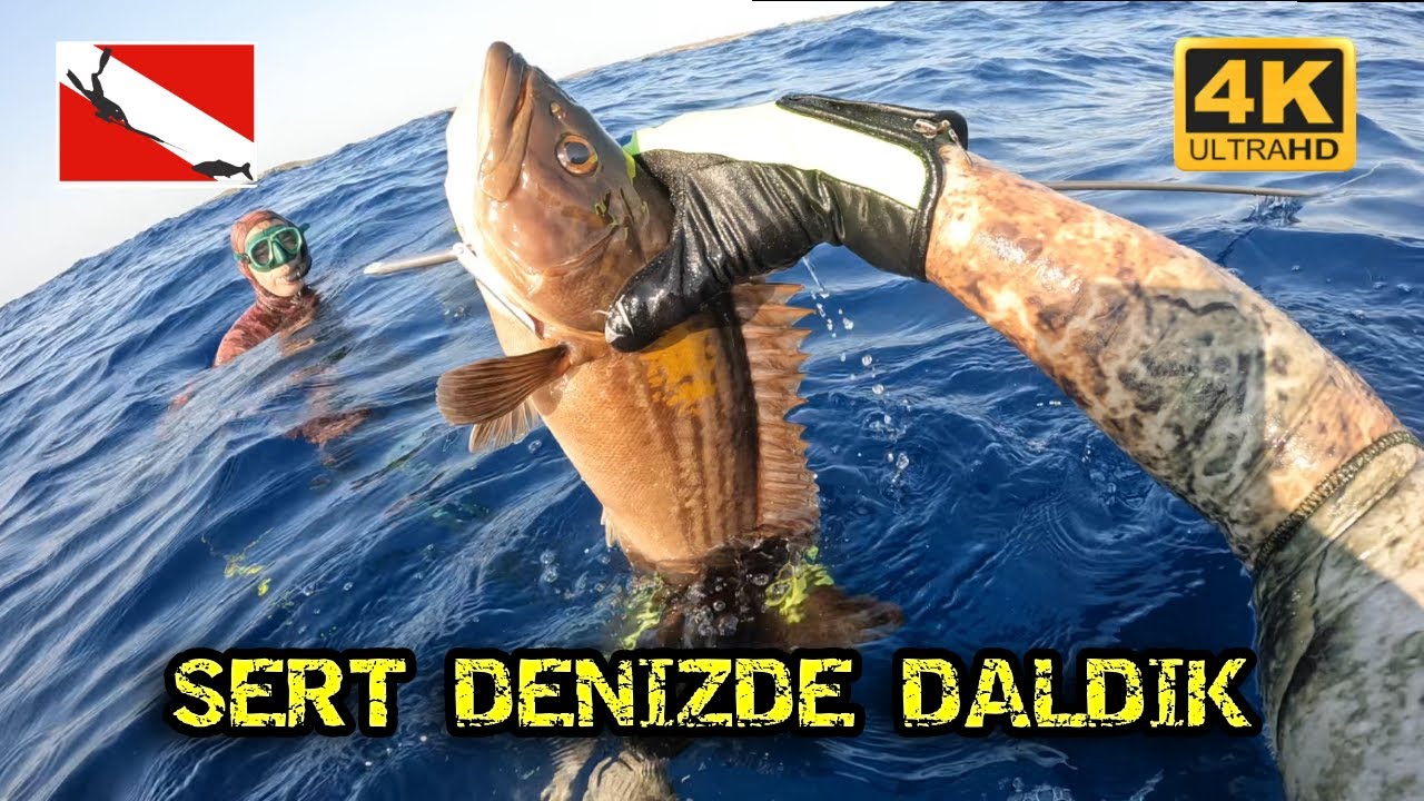 Kıbrıs Zıpkınla Balık Avı Sert Denizde Daldık
