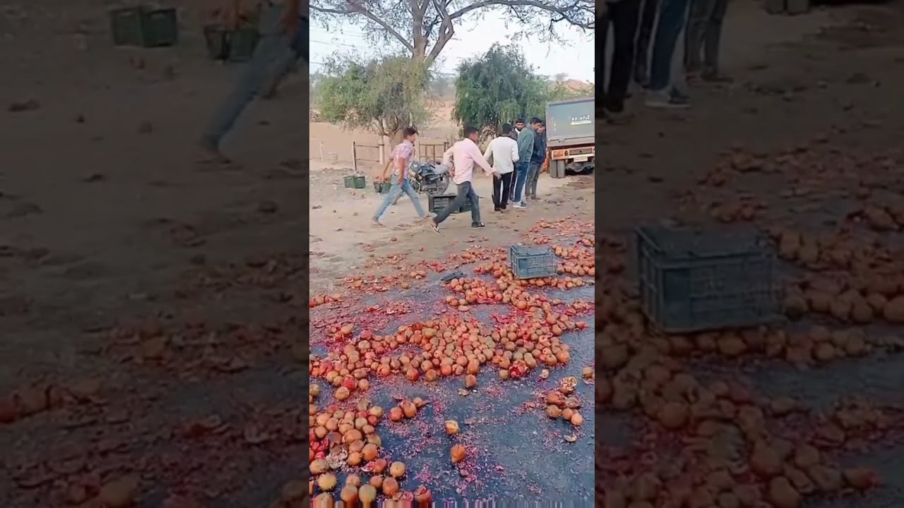 पिकअप व डंपर की जोर*दार भि+ड़ंत,हाईवे पर बिखर गए अनार...