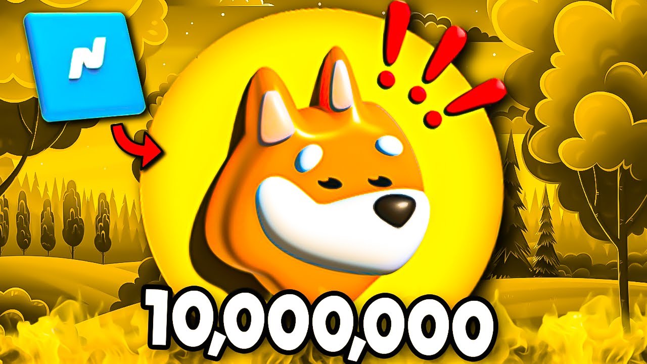 Why You Need 10,000,000 BONK Coins...