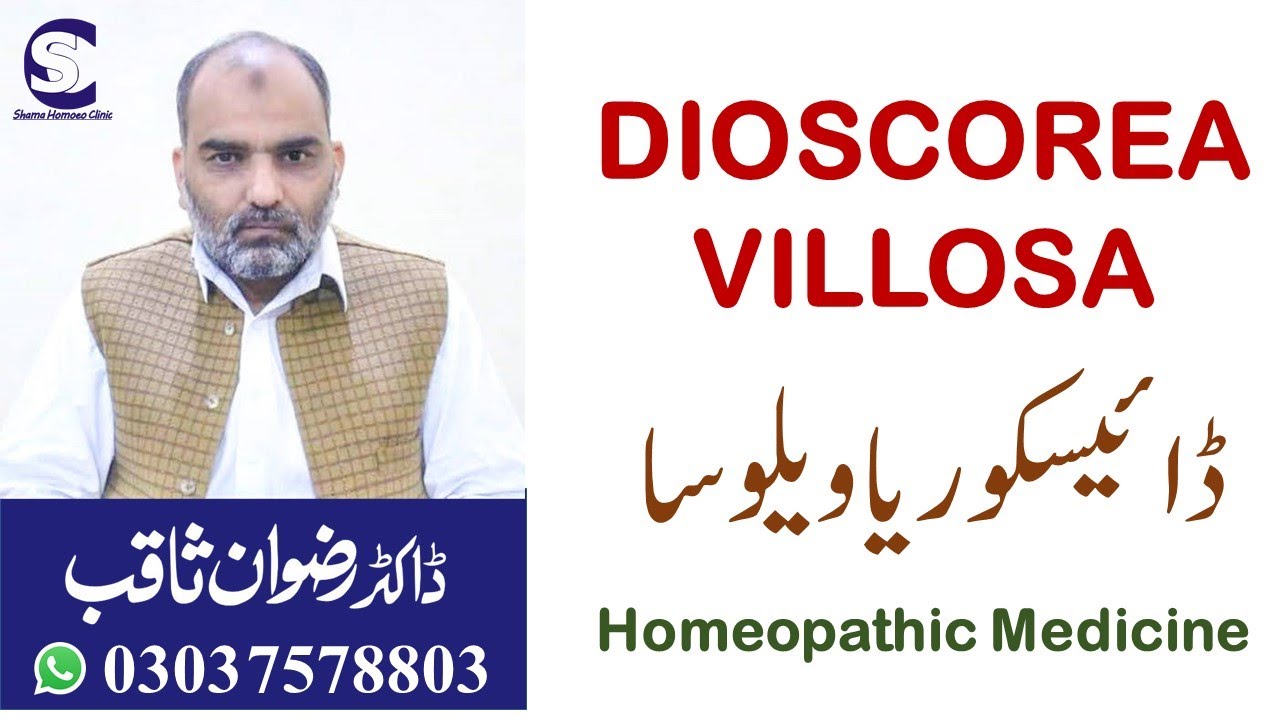 Dioscorea Villosa ڈائیسکوریا ویلوسا Homeopathic Medicine by Dr. Rizwan Saqib in Urdu/Hindi