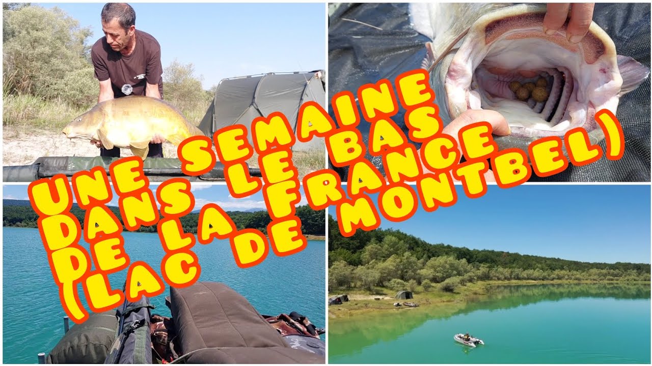 une semaine sur le lac de montbel ( carpes et silure )