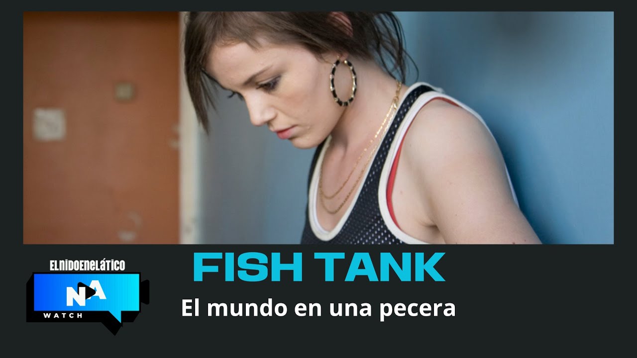 FISH TANK: El mundo en una pecera