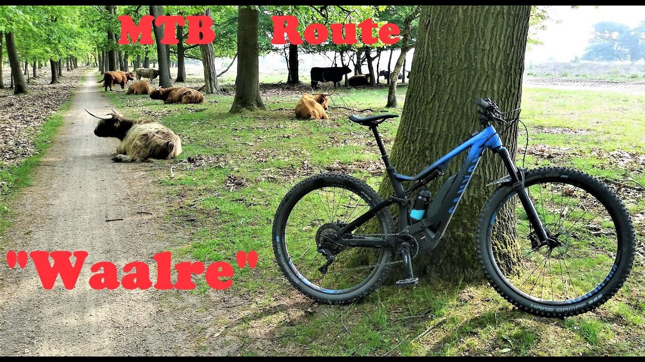 MTB full route 