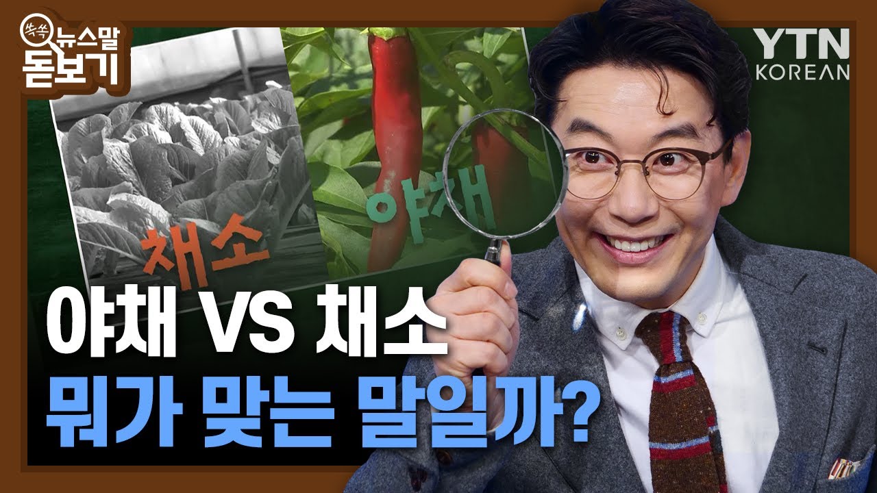 야채&middot;채소, 뭐가 맞는말일까? [쏙쏙 뉴스말 돋보기] / YTN KOREAN