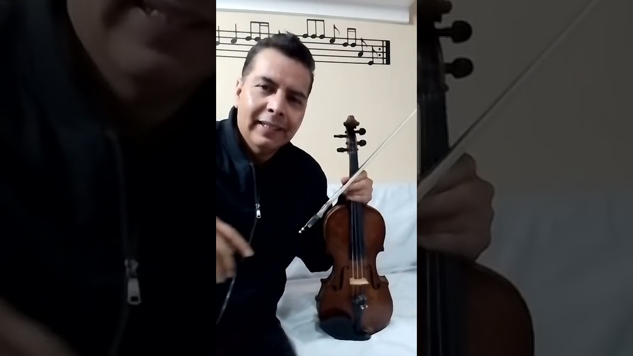 El dos negro, violín Garibaldi