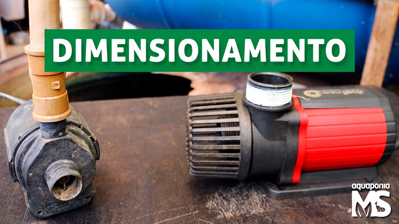 Como dimensionar BOMBA para sistema de peixes/aquapponia