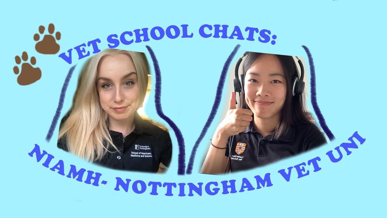 Vet school chat: Nottingham vet student Niamh-Dunne Mason *application advice*