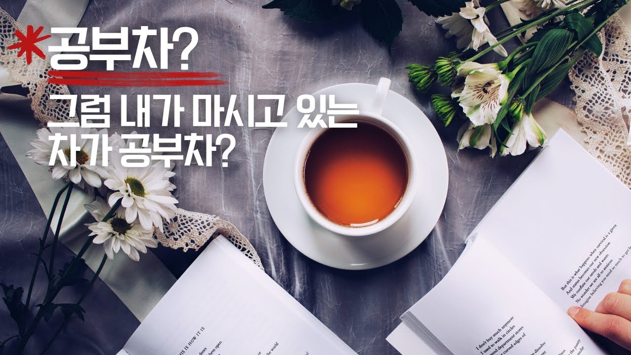 공부차?! 그럼 내가 마시고 있는 차가 공부차??