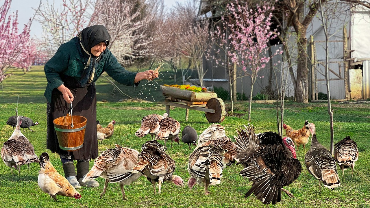 Traditional Countryside Cooking: Azerbaijani Grandmother's Recipes