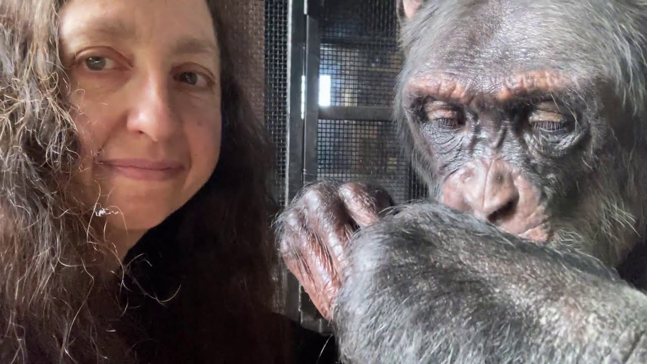 Halloween Special: Festive Grooming