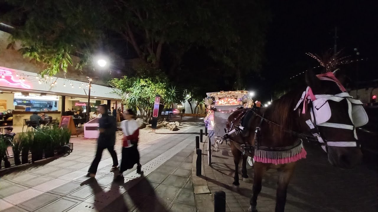 Caminando de noche por PASEO DE MONTEJO Mérida Yucatán