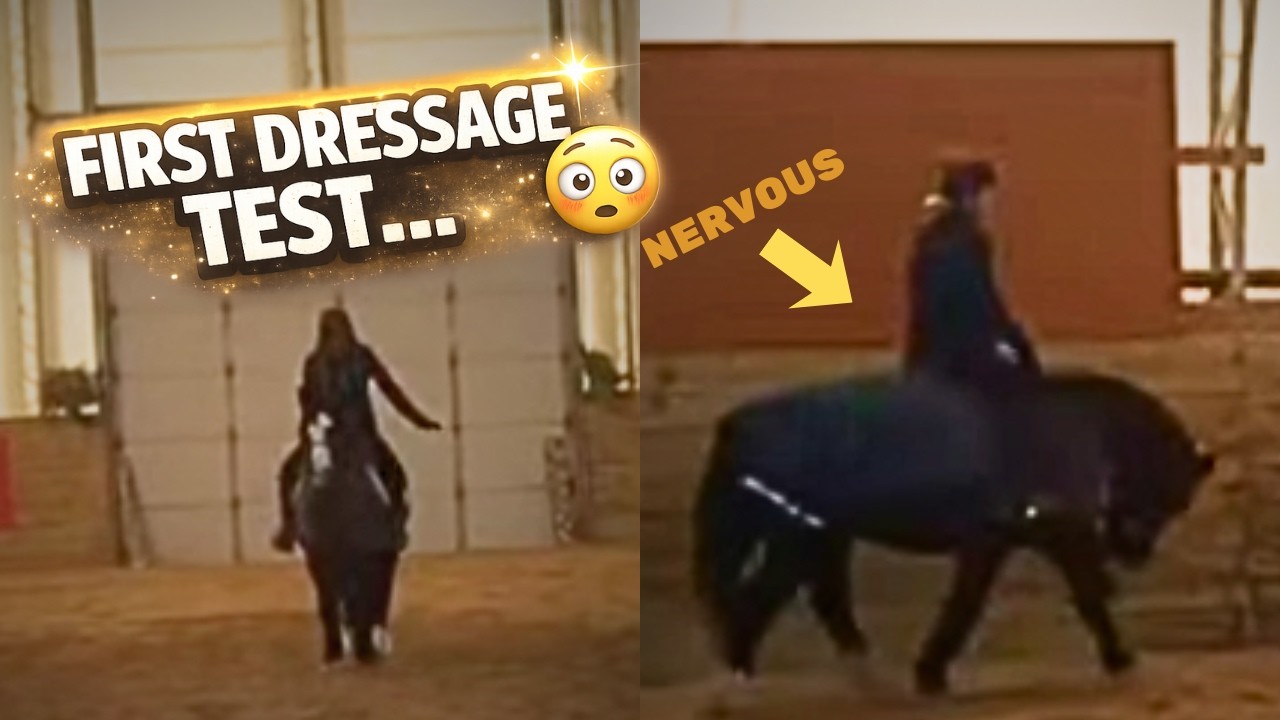 My FIRST TRAINING Dressage Test… 😳