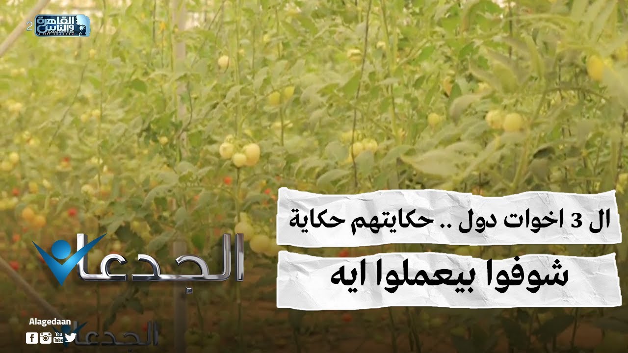 ال ٣ اخوات دول .. حكايتهم حكاية .. شوفوا بيعملوا ايه