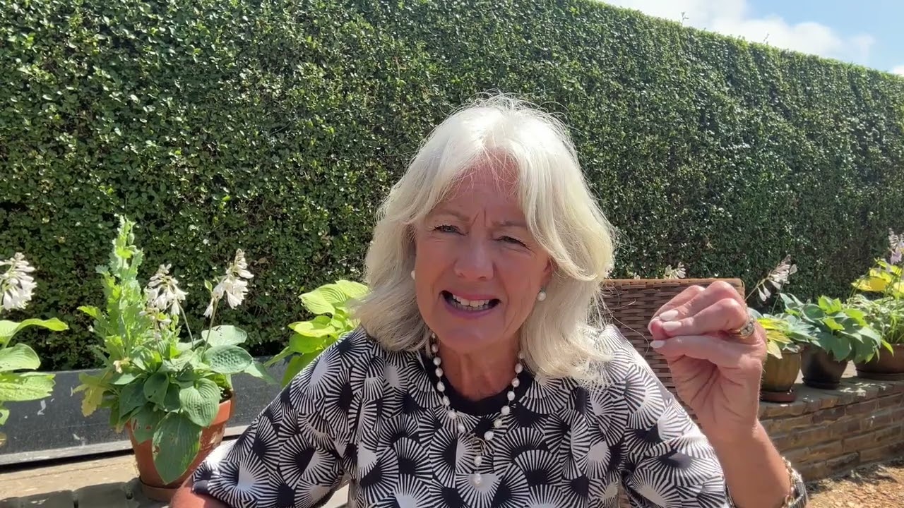 Two updates - My journey with Jude and Catering for a Large Garden Party