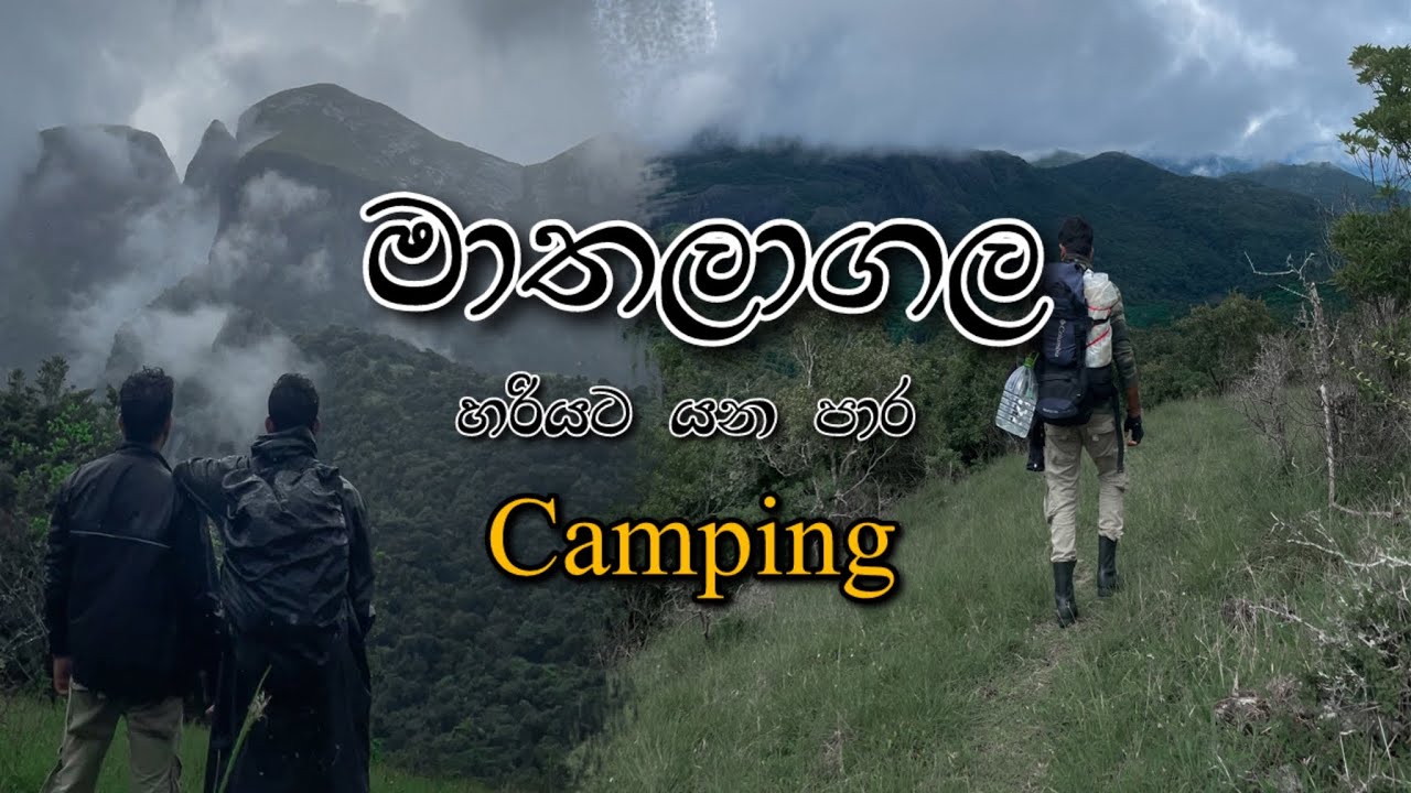 Mathalagala Pathana Camping මහා වැස්සකCAMPING අලින්ගෙ අඩවියේ| Dewalagala Plains Lakeegala අසල #trip