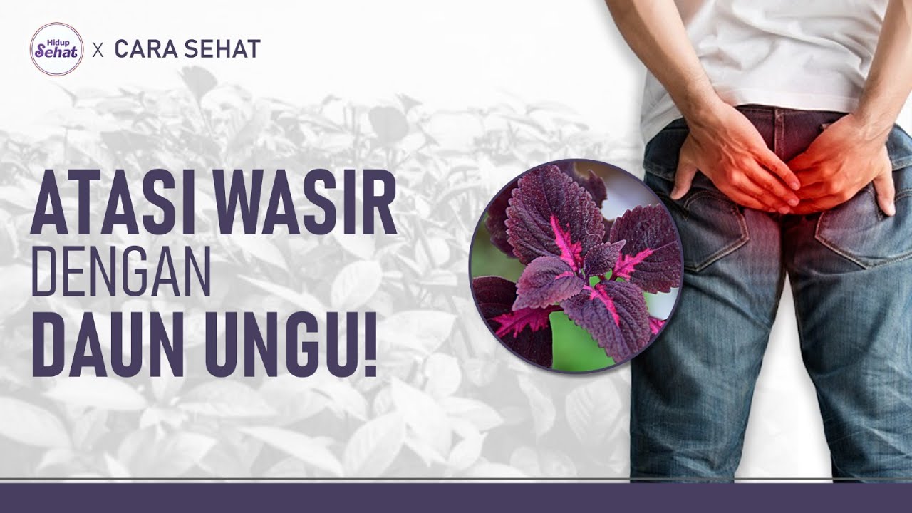 Daun Ungu Alami Mengatasi Wasir! Begini Cara Konsumsinya | Hidup Sehat tvOne