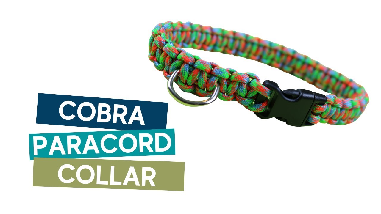 HOW TO MAKE A COBRA (SOLOMON BAR) PARACORD DOG COLLAR TUTORIAL