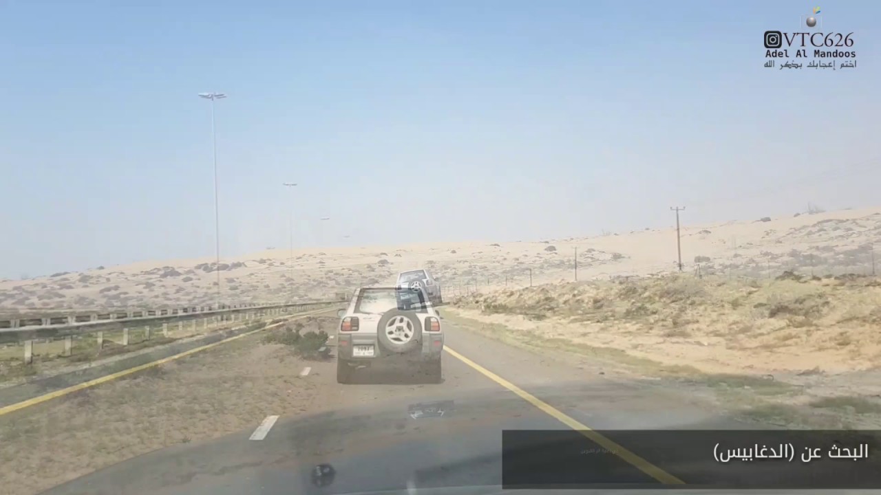 رحلتنا إلى إمارة أم القيوين ( البحث عن الدغابيس)