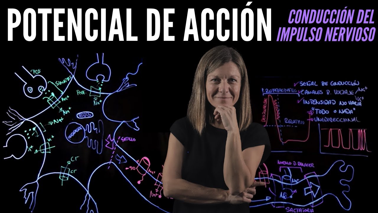🚄POTENCIAL DE ACCIÓN🧠