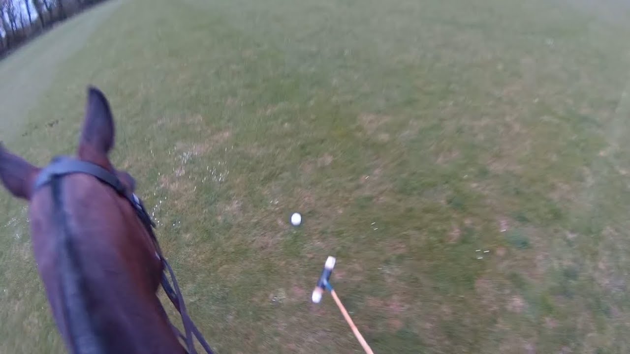 Horse Polo Practice - First Stick and Ball  of the Season | Equestrian