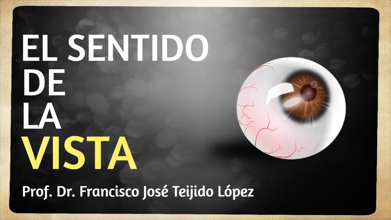 Lecciones de Anatomía y Fisiología: El sentido de la vista (ANA_SN_03)