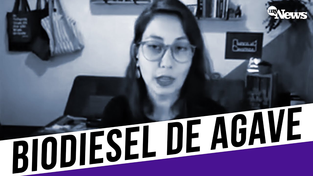 Unicamp desenvolve biodiesel de Agave | Combustível barato | Sustentabilidade | Ciência em 1 minuto