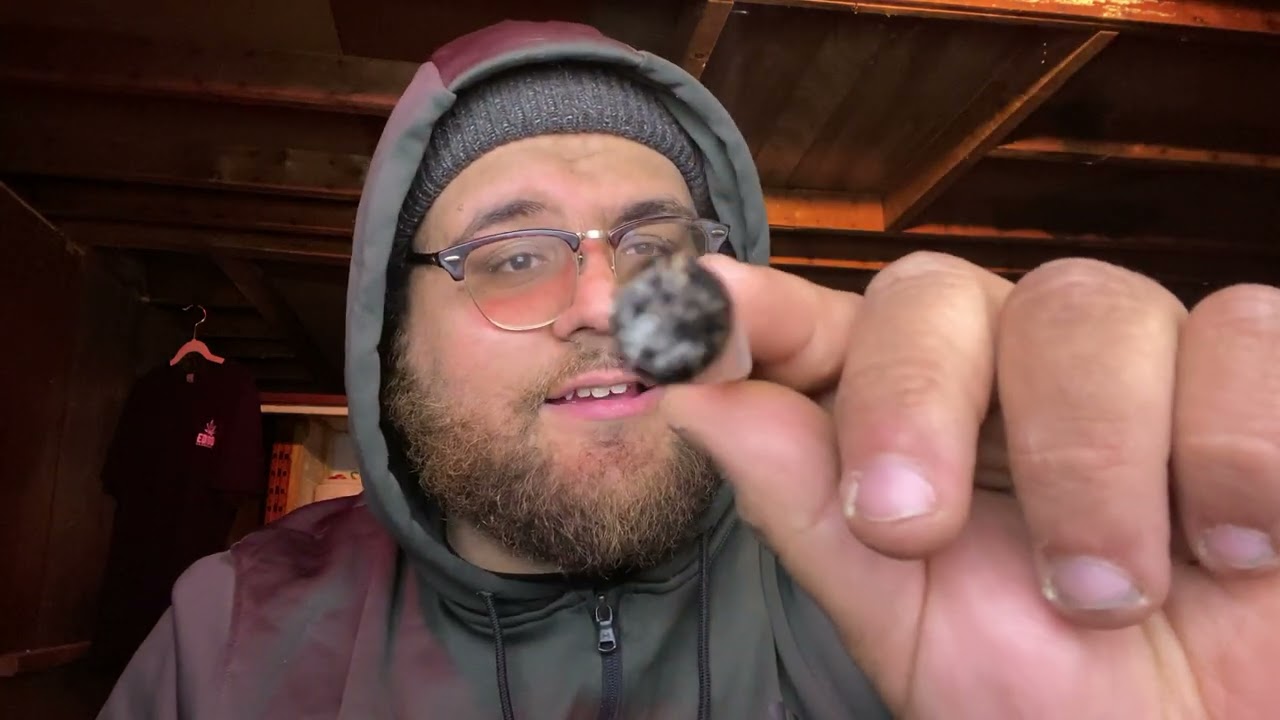 Strain Review - Pizza Breath (Balanced Hybrid 50/50)